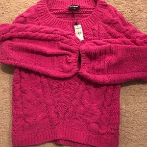Brand new with tag Express Sweater